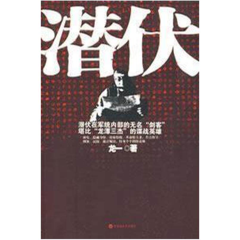 二手潜伏 龙一 百花洲文艺出版社