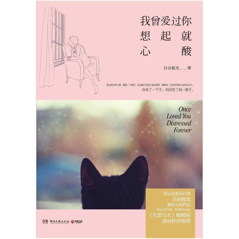二手我曾爱过你，想起就心酸 自由极光 湖南文艺出版社
