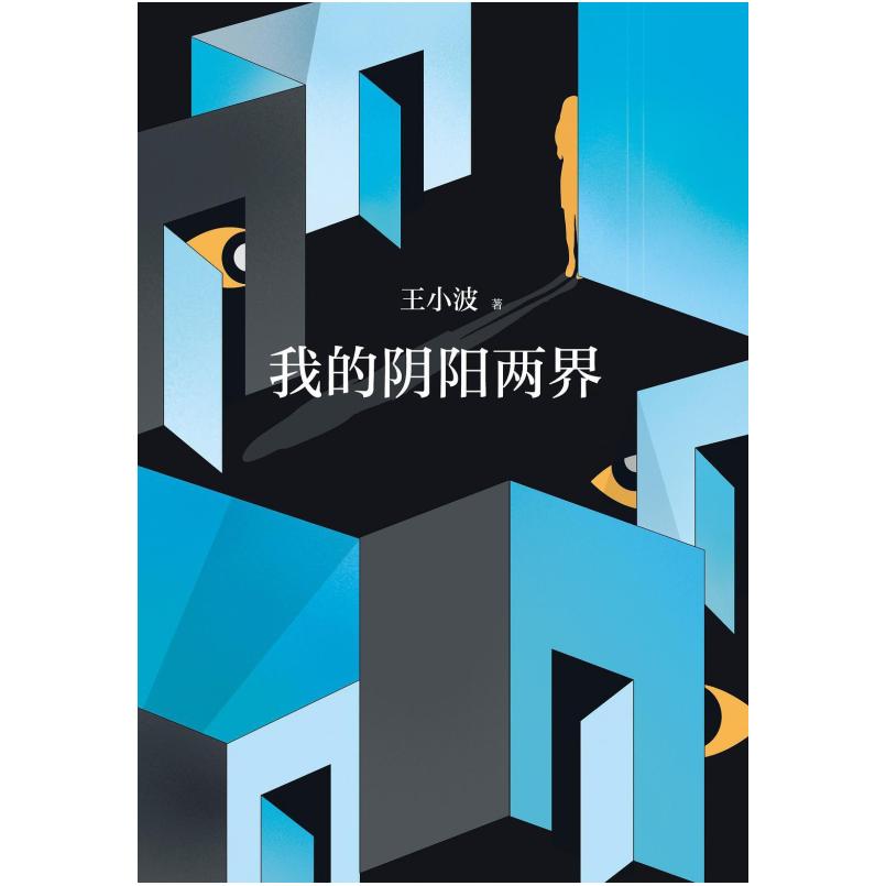 二手我的阴阳两界 王小波 北京十月文艺出版社