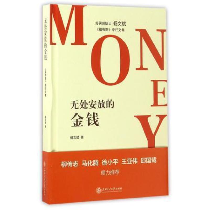 二手无处安放的金钱 杨文斌 上海交通大学出版社