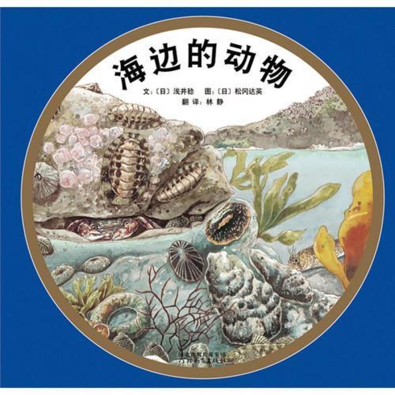 二手海边的动物 松冈达英 河北教育出版社