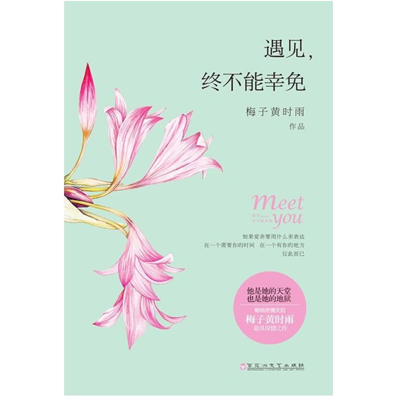 二手遇见，终不能幸免 梅子黄时雨 百花洲文艺出版社