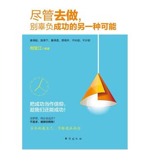 二手尽管去做，别辜负成功的另一种可能 刘宝江 台海出版社