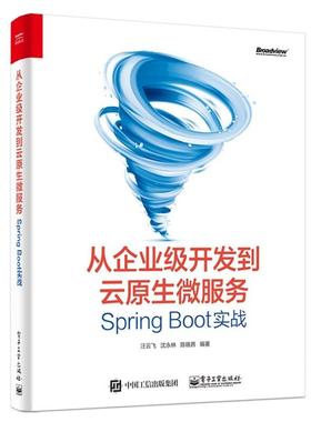 二手从企业级开发到云原生微服务:SpringBoot实战 汪云飞 电子工