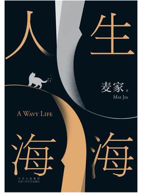 二手人生海海 麦家 北京十月文艺出版社