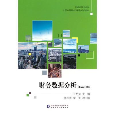 二手财务数据分析(Excel版) 王戈弋 中国财政经济出版社