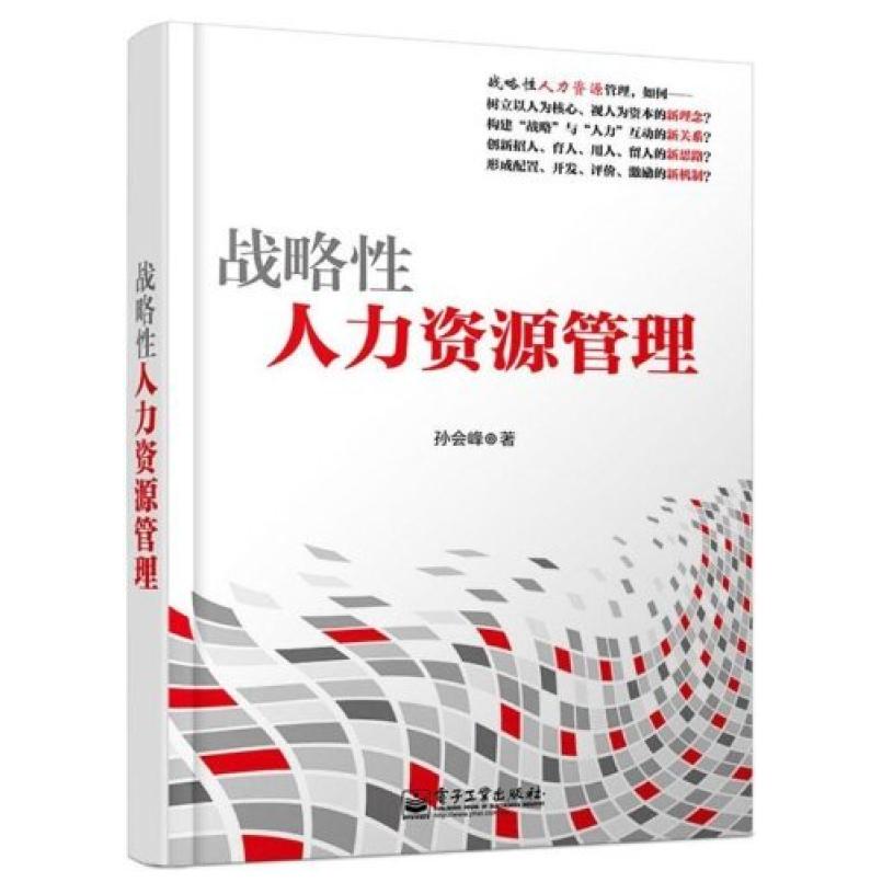 二手战略性人力资源管理 孙会峰 电子工业出版社