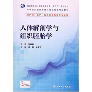 二手人体解剖学与组织胚胎学 任晖 人民卫生出版社