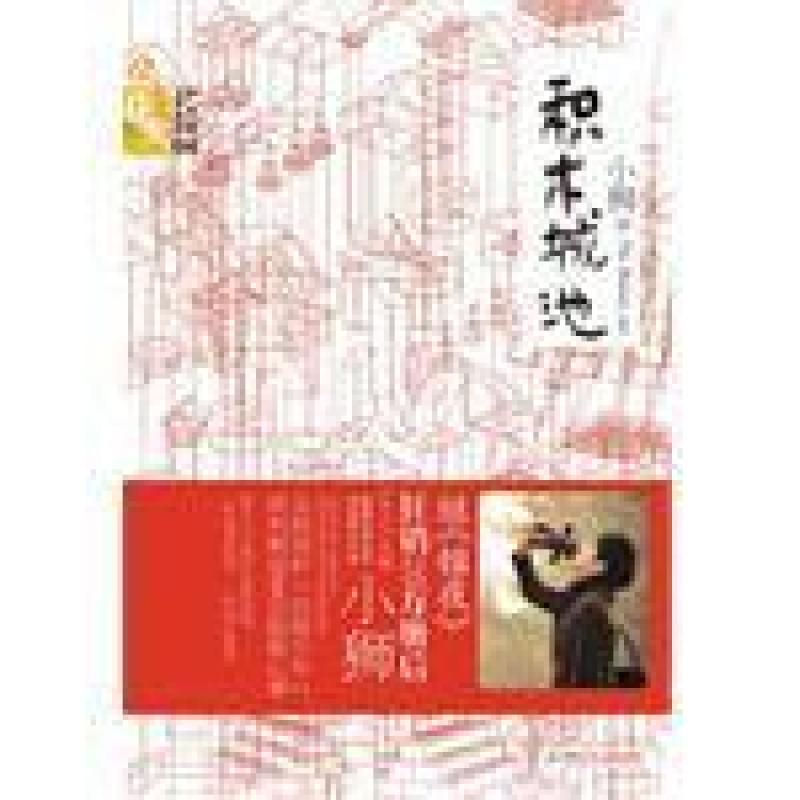 二手积木城池 小狮 湖南少年儿童出版社