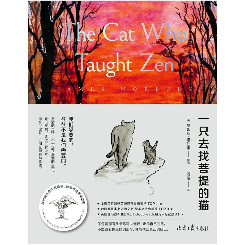 二手一只去找菩提的猫 [英]詹姆斯·诺伯里 北京日报出版社