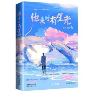 二手他来时有星光 北风未眠 天津人民出版社