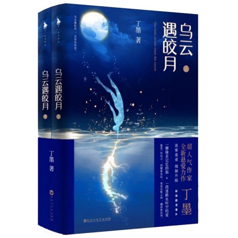 二手乌云遇皎月 丁墨 百花洲文艺出版社