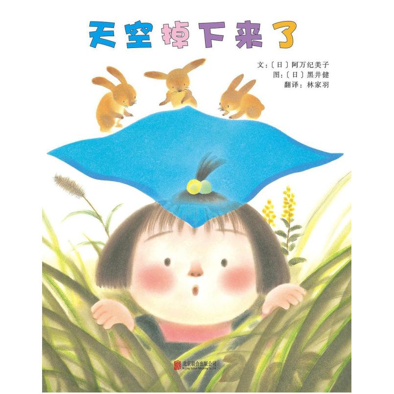 二手天空掉下来了 (日)阿万纪美子 北京联合出版公司