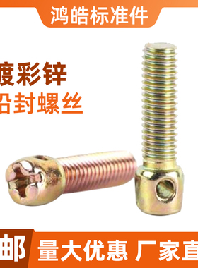 铅封螺丝 电表螺丝 封表螺钉 封口螺丝 带孔十字螺丝M3M4M5M6