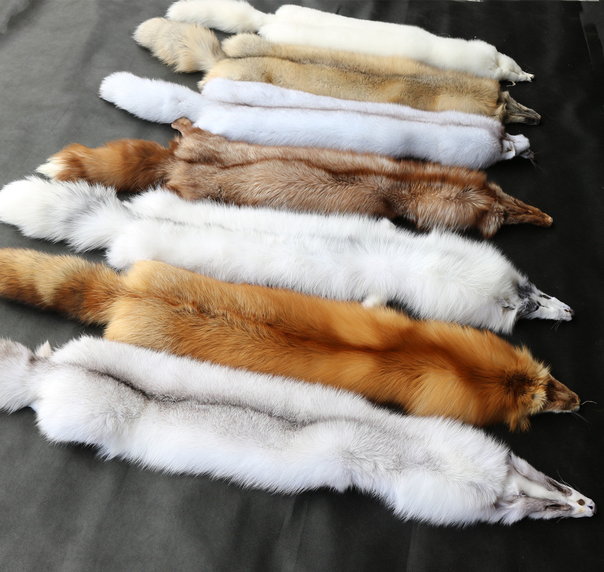y整张狐狸皮围脖人工养殖真皮皮草服装面料红狐白蓝狐diy皮毛一体