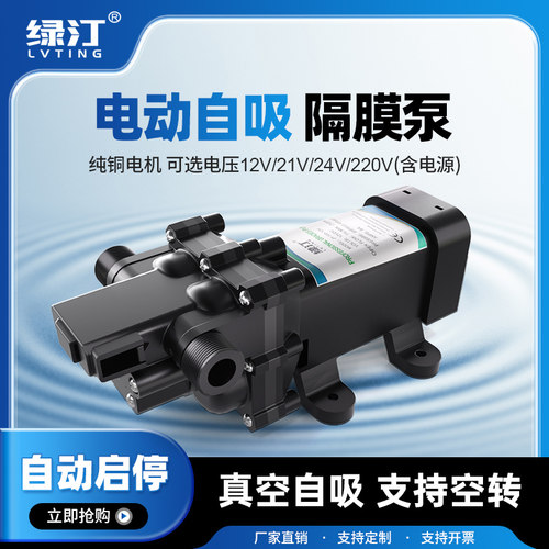 电动直流12v24v抽水泵房车浇菜神器浇水机农田自吸隔膜泵增压专用