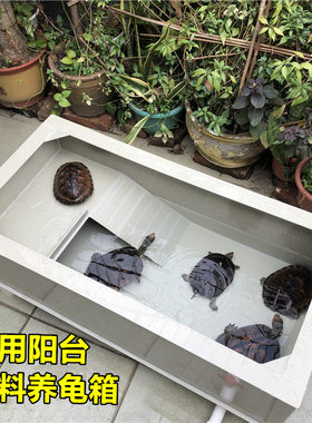 包邮龟池大青龟箱楼梯晒台养殖箱