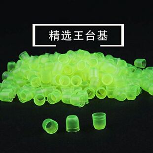 养蜂育王台基塑料单杯王台基中蜂意蜂蜂王王台保护罩蜜蜂工具包邮