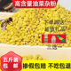 5斤装 蜂粮 精选高含量油菜杂粉花粉蜜蜂饲料养蜂喂蜂2023新粉天然