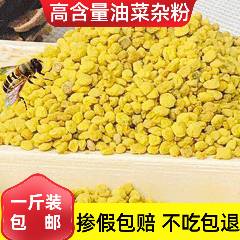 精选高含量油菜杂粉花粉蜜蜂饲料养蜂喂蜂2023新粉天然 蜂粮 500g