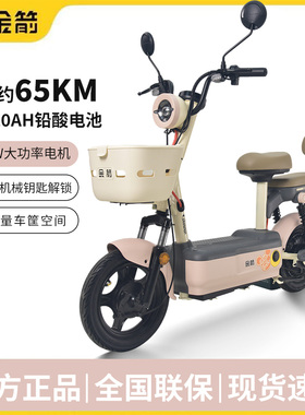 金箭电动车DQ星空 400W强劲电机长续航电动轻便摩托车通勤代步48V