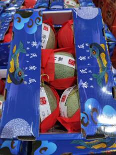 海南林氏梅陇网纹蜜瓜一藤一瓜可口蜜软心软糯香甜5-6粒原箱 包邮