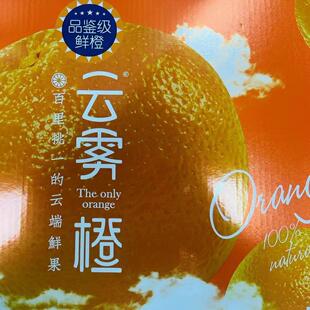 云雾橙子高山立国品鉴级鲜橙冰糖橙甜口10斤礼盒装顺丰包邮