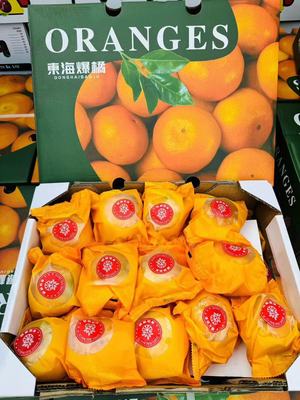 东海爆橘临海涌泉蜜橘薄皮无核