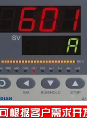 厦门宇电 YUDIAN AI-6011交流电压测量仪交流电流表可调节智能PID