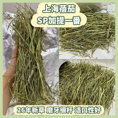 【自家试吃反馈】上海蓓茄SP加提一番 适口性好 进口晒干提摩西草