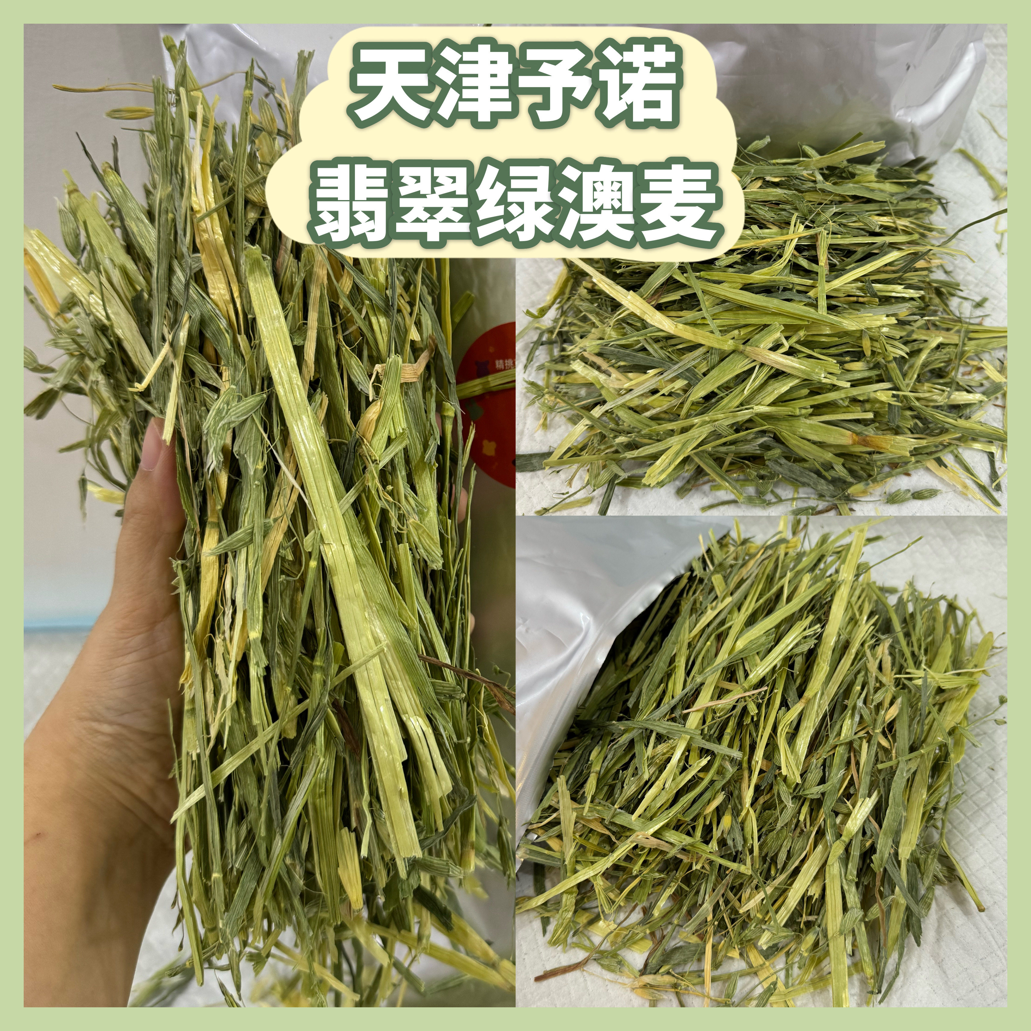 【自家试吃反馈】予诺 翡翠绿澳麦 适口性好 澳洲进口晒干燕麦草