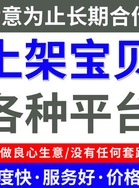 淘宝网店产品发布店铺宝贝代上架商品数据包标题优化主图详情设计