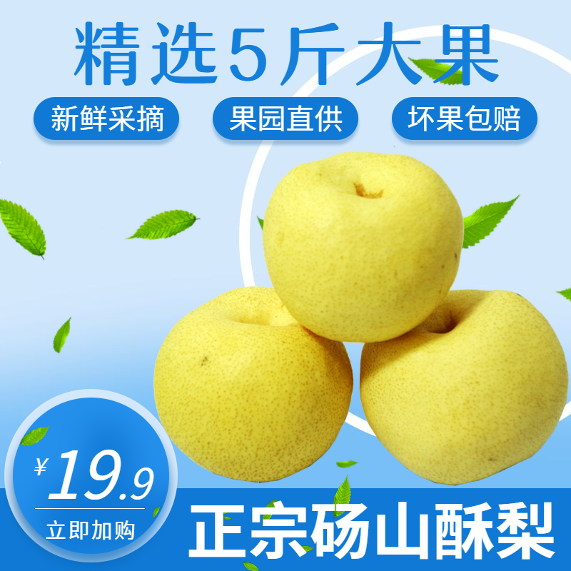 安徽砀山酥梨正宗新鲜梨子当季整箱时令水果5斤孕妇汤山应季特产