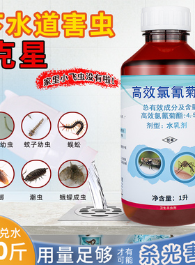 灭杀下水道小飞虫喷剂蛾蚋管道除虫卫生间厕所蟑螂除虫防虫杀虫剂