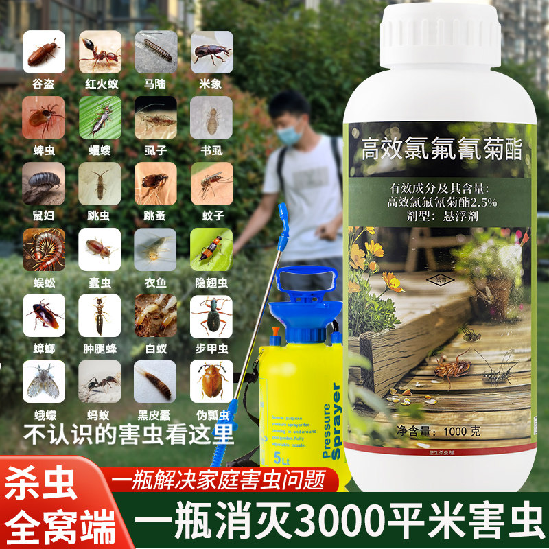 大面积灭蚊子药水高效氯氟氰菊酯杀虫剂防除马陆潮虫蟑螂药喷雾剂