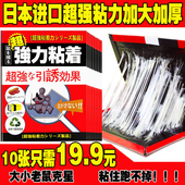 强力日本粘鼠板 日本强力10张装 超强力粘板驱大老鼠贴夹