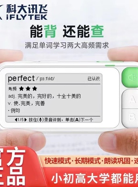 科大讯飞E听说单词通 E100真人发音外教电子单词卡背单词神器墨水