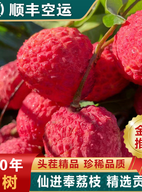 仙进奉荔枝现摘高州新鲜挂现发绿观音茂名桂整箱味礼盒糯米顺丰糍