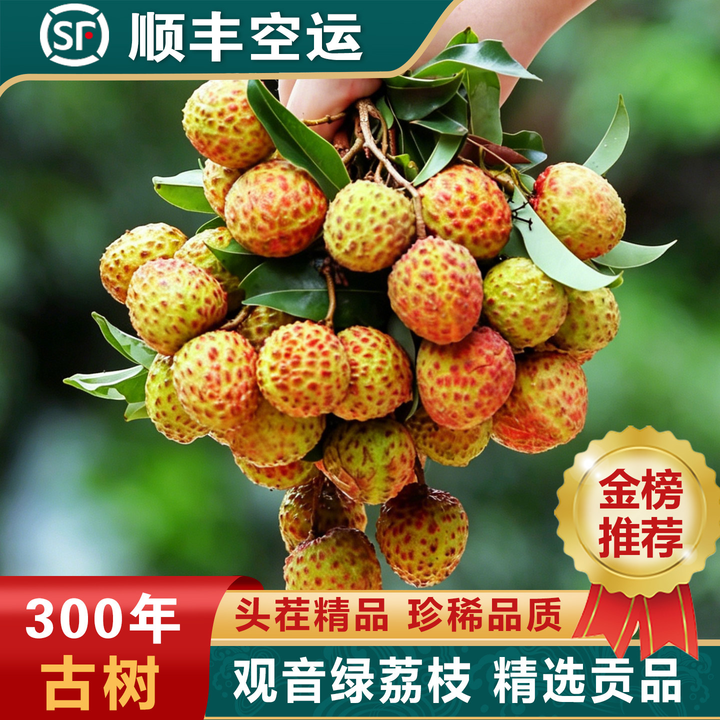 观音绿荔枝新鲜茂名高州挂老树现摘现发顺丰桂5斤味糯米笑糍妃子