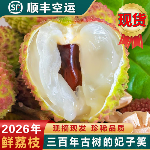 妃子笑现摘荔枝礼盒5斤