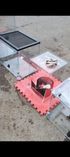 定制雨林缸植物缸爬宠缸爬宠馆造景水泥塑形 无边框雨林缸 云雾板