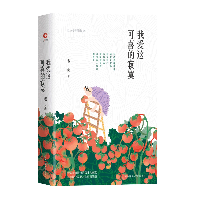 我爱这可喜的寂寞 老舍经典散文 令人欢喜赞叹的京味儿幽默 在恬淡中品咂人生真知妙趣 现当代文学