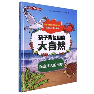 孩子背包里 海岸 大自然·探索迷人