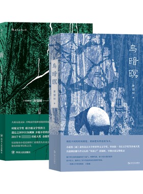 【正版】乌暗暝 雨 全2册 马来西亚作家黄锦树华语乡土文学魔幻现实主义长篇小说 调度不同的时间刻度 重新把灰烬还原为火