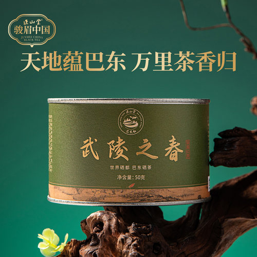 正山堂巴东红特级红茶武陵之春