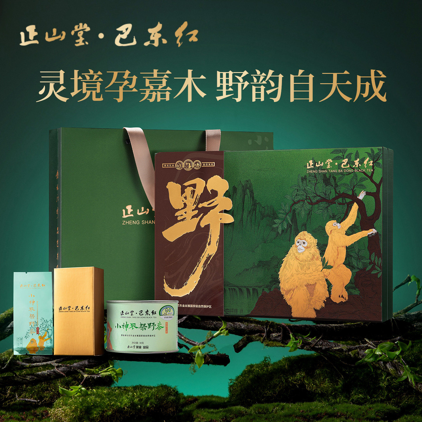 正山堂巴东红小神农架野茶礼盒装特级野生红茶叶礼盒正宗送礼长辈
