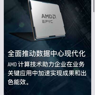 MD EPYC 9754 9654 9554 9654es 9J14 9B14 9V74正式版--议价商品