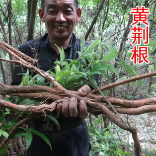 布惊根 中药材黄荆根 牡荆根 纯根 新鲜切片晒干 500g