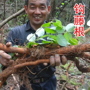 钩藤根 中药材钩藤树根 勾藤根 吊风子根 纯根 新鲜切片晒干 500g