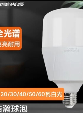 欧美光源led灯泡E27螺口家用节能灯室内球泡护眼大功率照明灯白光